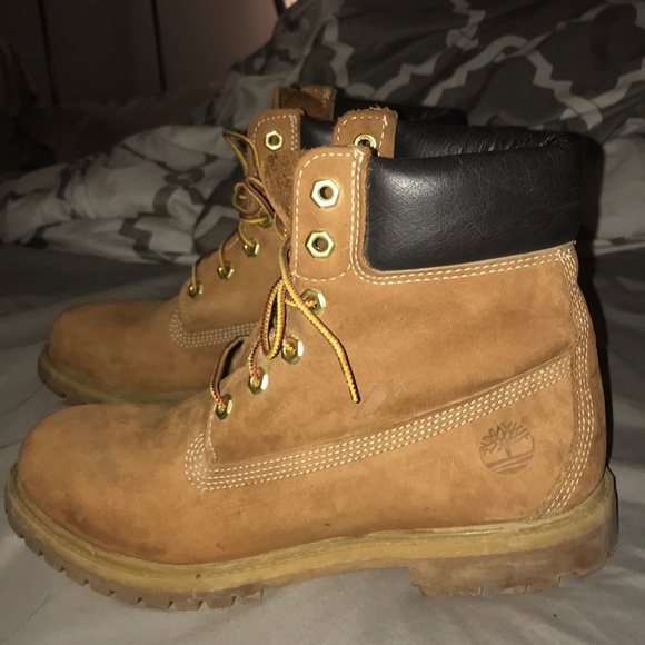 Timberlands - Picture 2 of 6